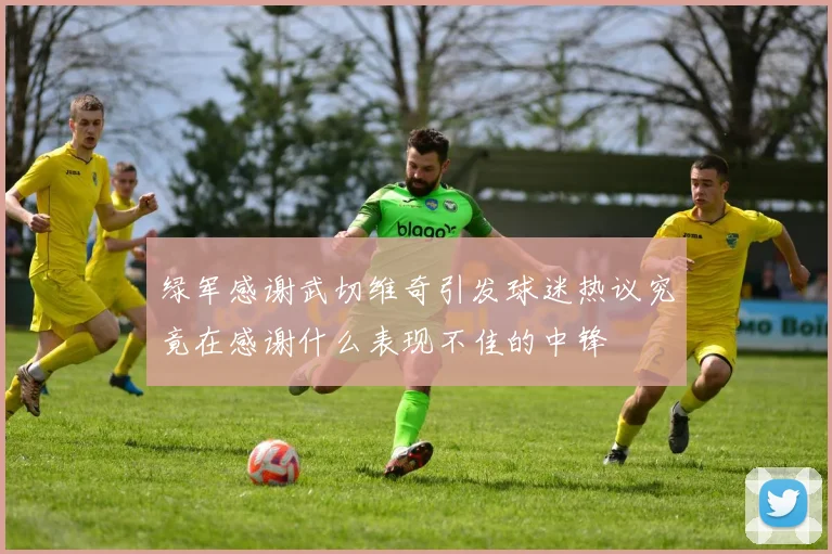 绿军感谢武切维奇引发球迷热议究竟在感谢什么表现不佳的中锋